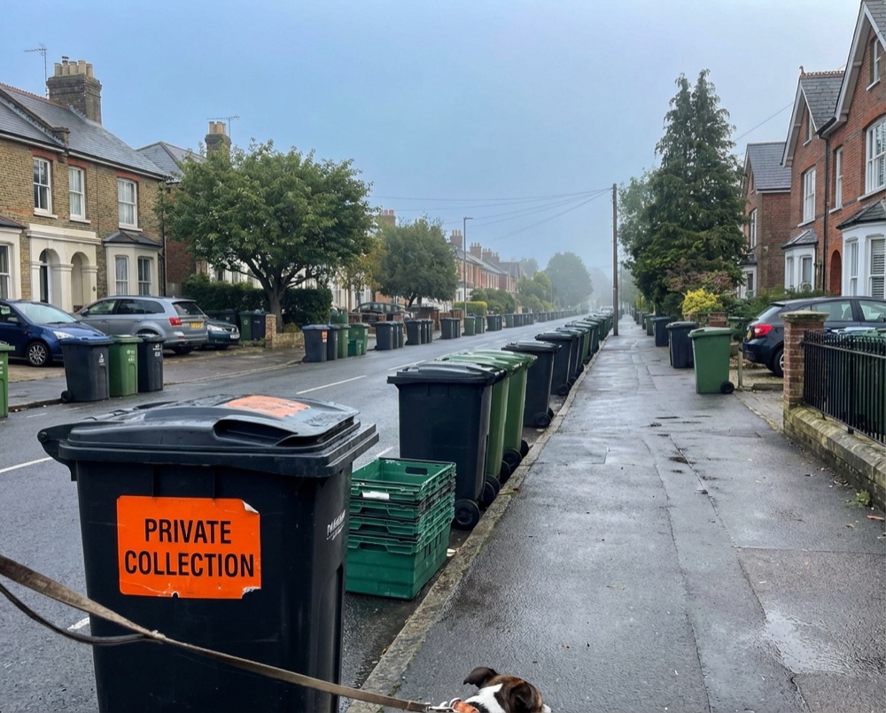 Residential street with bins in Arundel awaiting collection